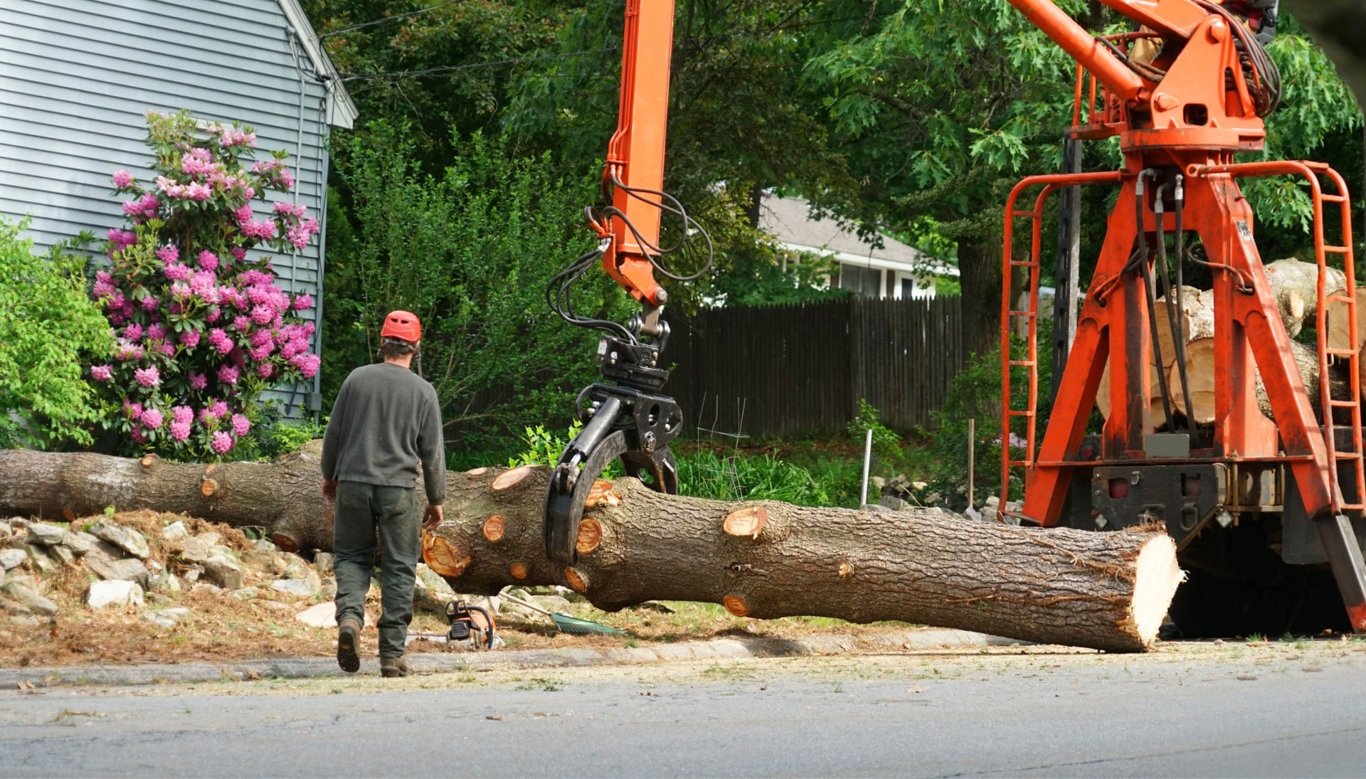 Local partner for Tree removal services in Katy