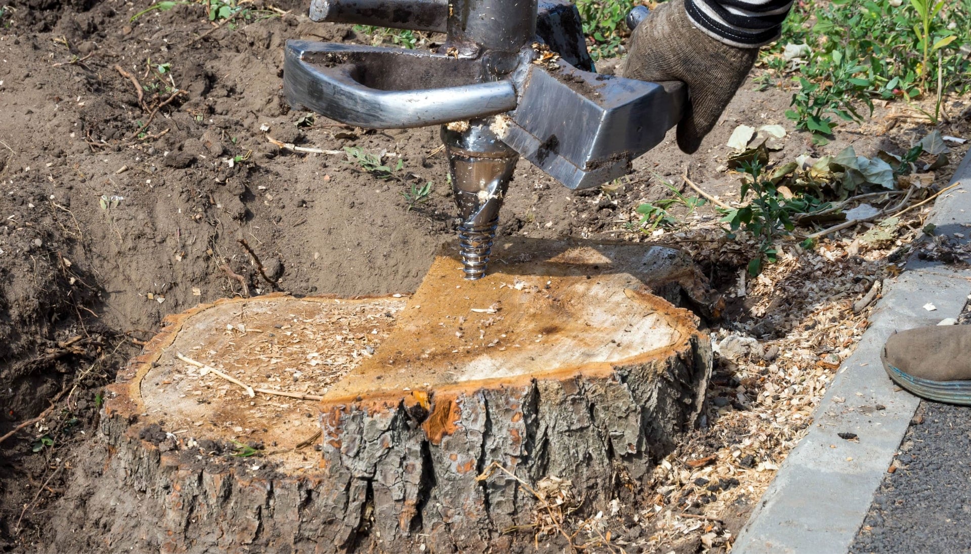 Katy Tree stump removal